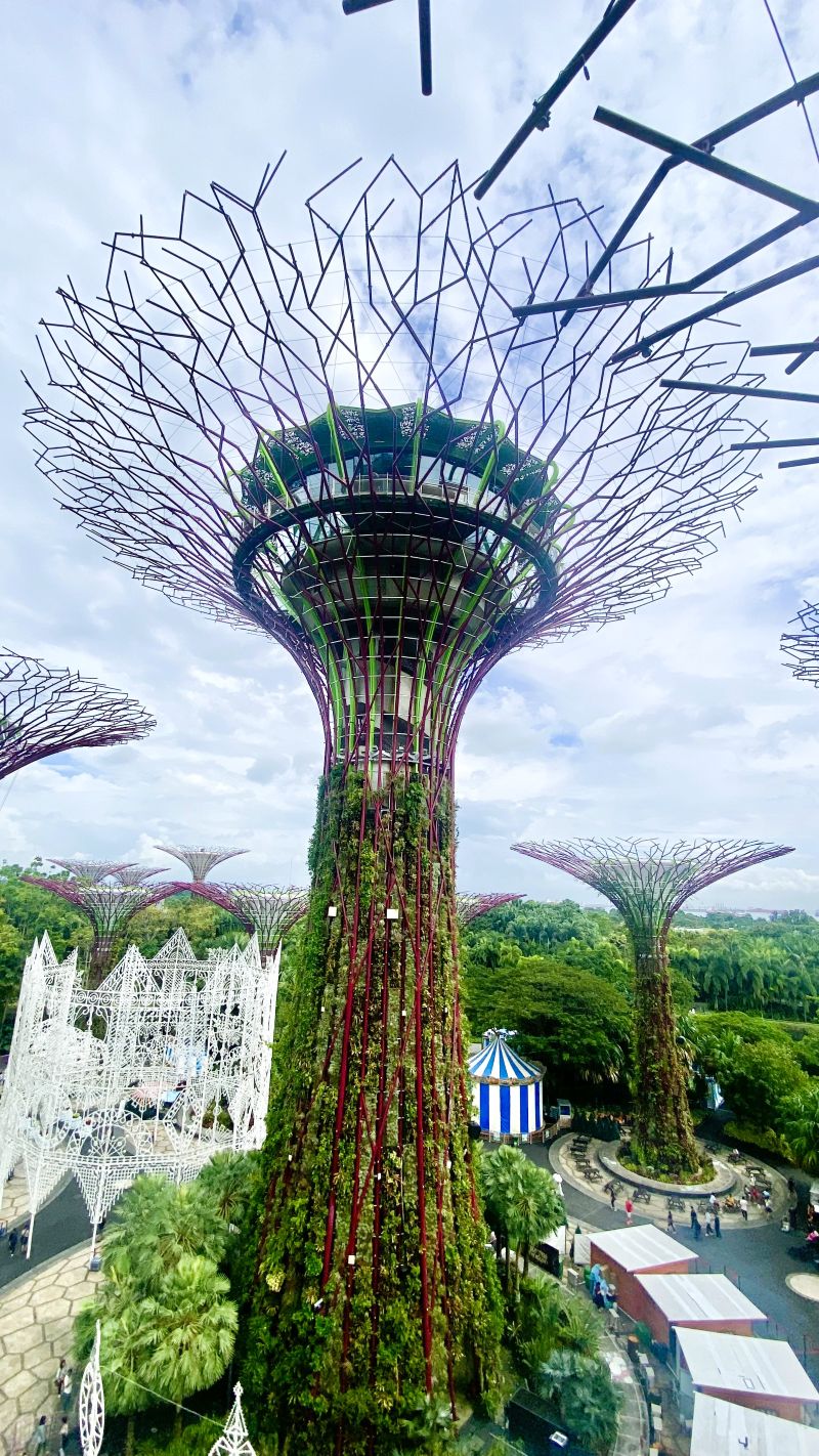 Supertrees Singapur